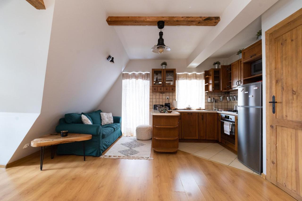 Apartament Blisko Szlaku Zakopane公寓 外观 照片